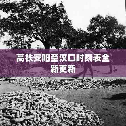 高铁安阳至汉口时刻表全新更新