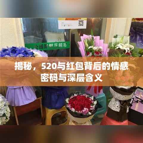 揭秘,520与红包背后的情感密码与深层含义