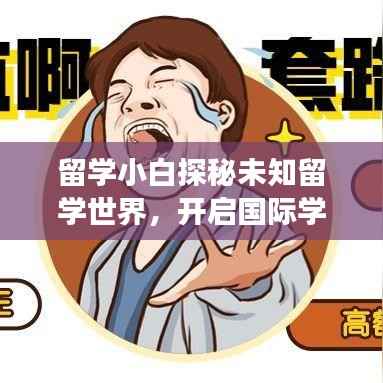 留学小白探秘未知留学世界,开启国际学习之旅!