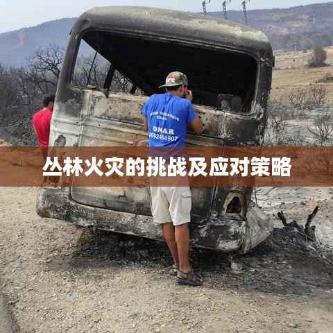 丛林火灾的挑战及应对策略