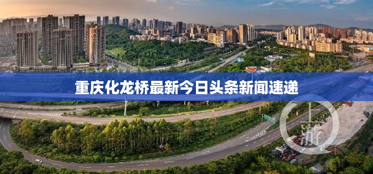 重庆化龙桥最新今日头条新闻速递