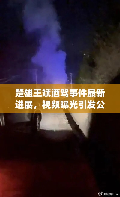 楚雄王斌酒驾事件最新进展,视频曝光引发公众深度关切与反思