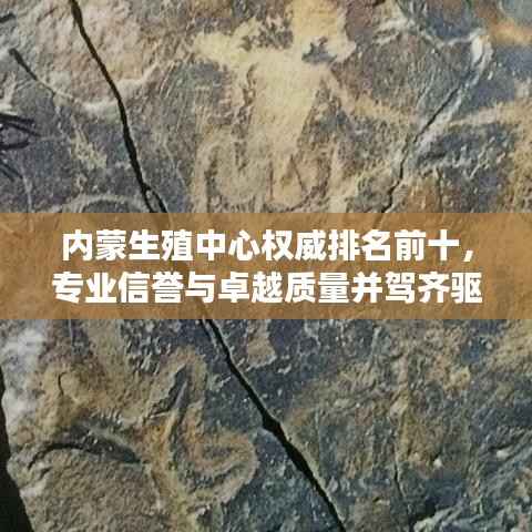 内蒙生殖中心权威排名前十,专业信誉与卓越质量并驾齐驱