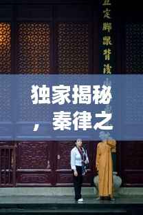 独家揭秘,秦律之魅力——探寻古代法律的独特韵味