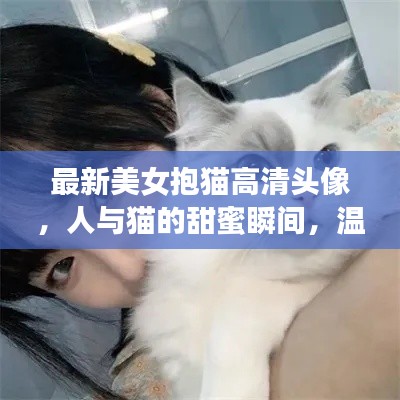 最新美女抱猫高清头像,人与猫的甜蜜瞬间,温馨画面不容错过