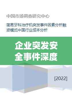 企业突发安全事件深度剖析,案例分析与启示