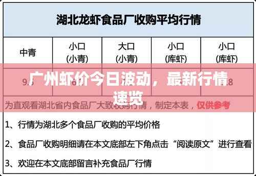 广州虾价今日波动,最新行情速览