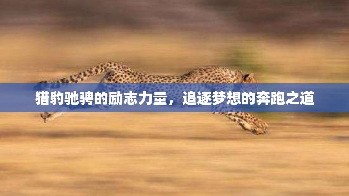 夯雀儿先飞 第2页