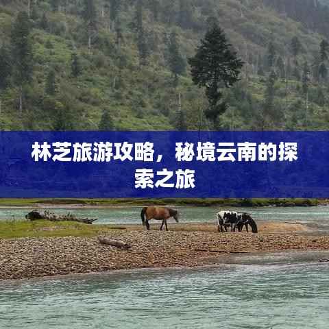 林芝旅游攻略,秘境云南的探索之旅
