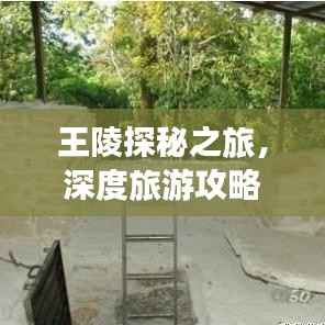 鸟吏鼈官