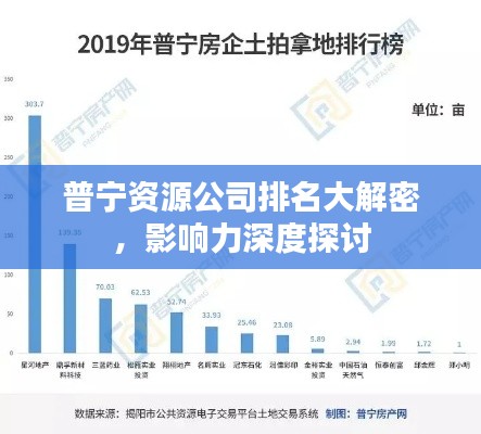 普宁资源公司排名大解密,影响力深度探讨