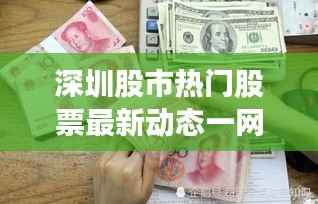 深圳股市热门股票最新动态一网打尽!