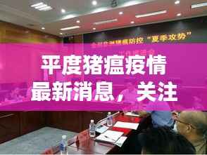 平度猪瘟疫情最新消息,关注疫情动态,防控措施升级