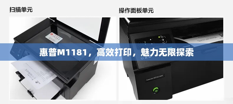 鞭驽策蹇 第2页