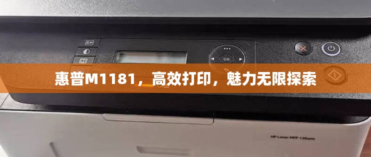 惠普M1181,高效打印,魅力无限探索