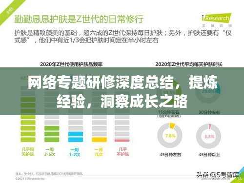 网络专题研修深度总结，提炼经验，洞察成长之路