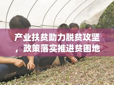产业扶贫助力脱贫攻坚,政策落实推进贫困地区发展