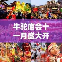 牛驼庙会十一月盛大开放,最新消息揭秘活动安排