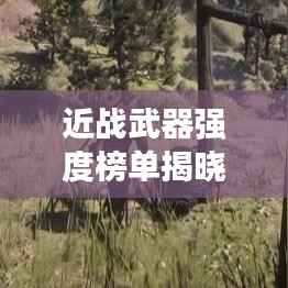 近战武器强度榜单揭晓,前十名武器实力比拼!