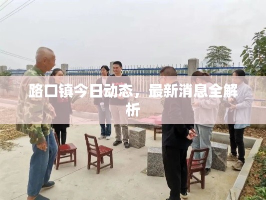 路口镇今日动态,最新消息全解析