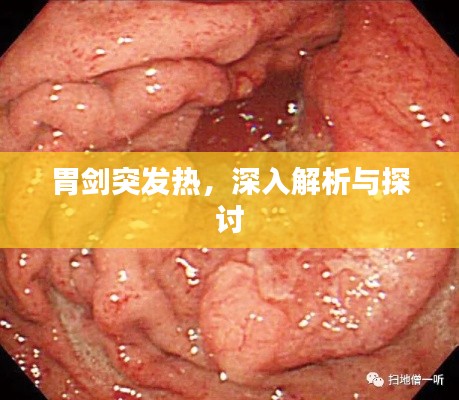 胃剑突发热,深入解析与探讨
