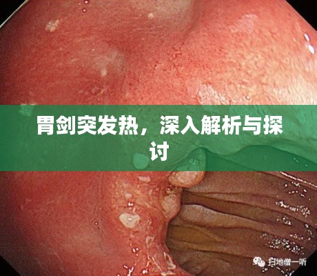 胃剑突发热,深入解析与探讨