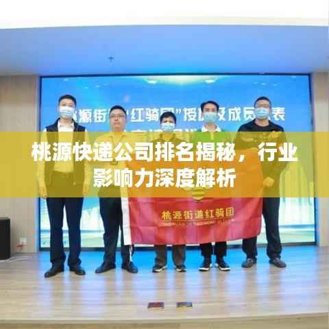 桃源快递公司排名揭秘,行业影响力深度解析