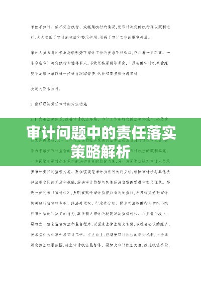 审计问题中的责任落实策略解析