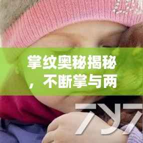 掌纹奥秘揭秘,不断掌与两纹之谜探秘