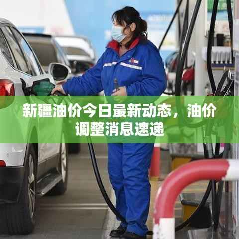 新疆油价今日最新动态,油价调整消息速递