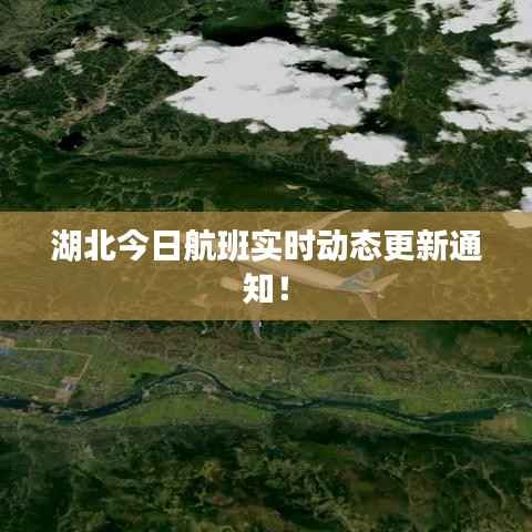 湖北今日航班实时动态更新通知!