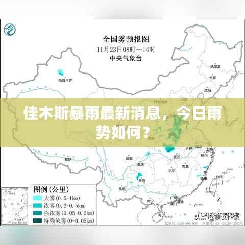 佳木斯暴雨最新消息,今日雨势如何?
