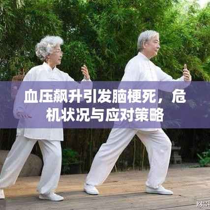 血压飙升引发脑梗死,危机状况与应对策略
