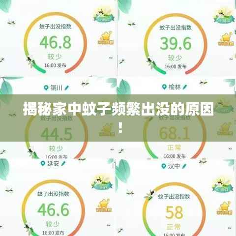 揭秘家中蚊子频繁出没的原因!