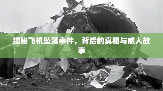 小鸟伊人 第2页