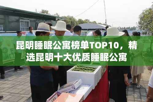 昆明睡眠公寓榜单TOP10,精选昆明十大优质睡眠公寓