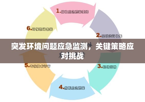 突发环境问题应急监测,关键策略应对挑战