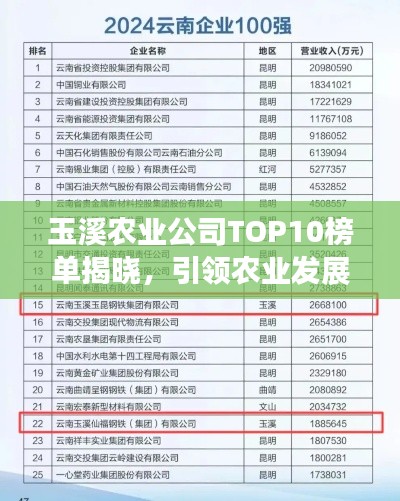 玉溪农业公司TOP10榜单揭晓,引领农业发展的佼佼者企业