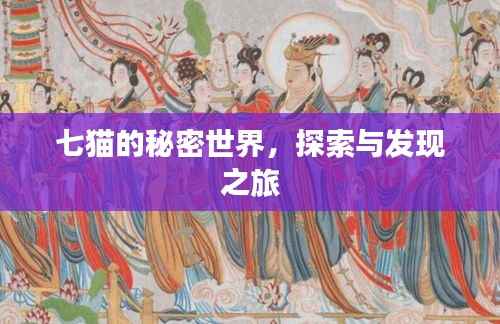 七猫的秘密世界，探索与发现之旅