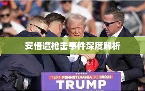 安倍遭枪击事件深度解析