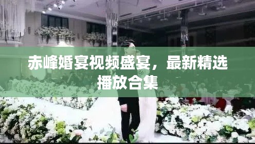 赤峰婚宴视频盛宴,最新精选播放合集