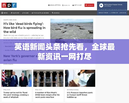 英语新闻头条抢先看，全球最新资讯一网打尽