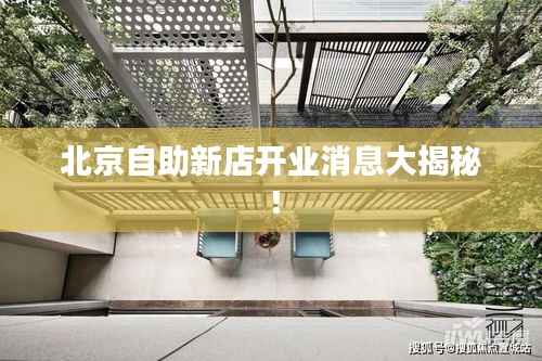 北京自助新店开业消息大揭秘！
