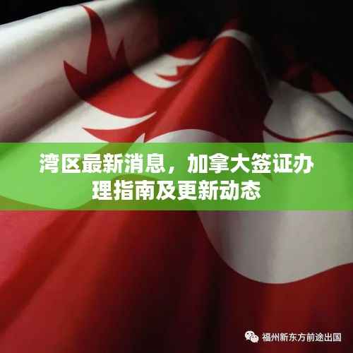 湾区最新消息,加拿大签证办理指南及更新动态