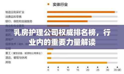 乳房护理公司权威排名榜，行业内的重要力量解读