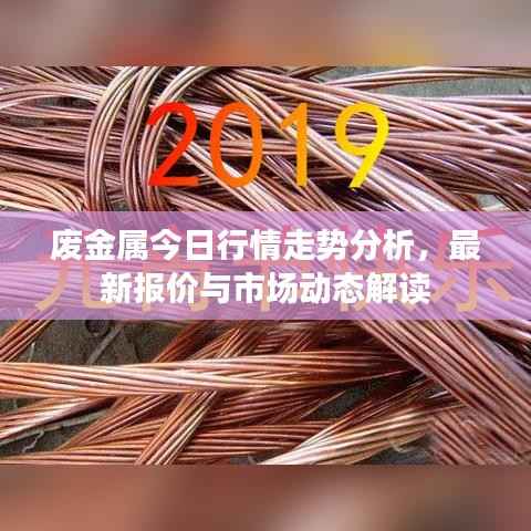 废金属今日行情走势分析,最新报价与市场动态解读