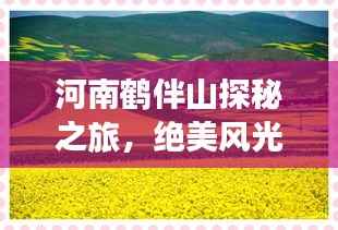 既往不咎 第2页