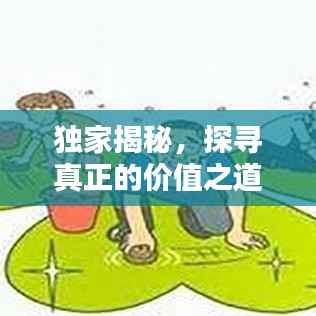 独家揭秘，探寻真正的价值之道