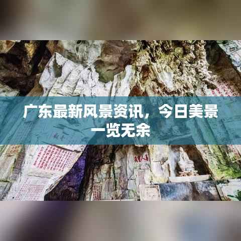 广东最新风景资讯，今日美景一览无余