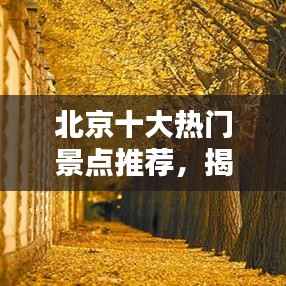 北京十大热门景点推荐,揭秘城市精彩魅力不容错过!